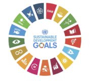 sdgs