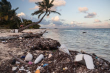 Plastic Pollution on Caribbean Beach