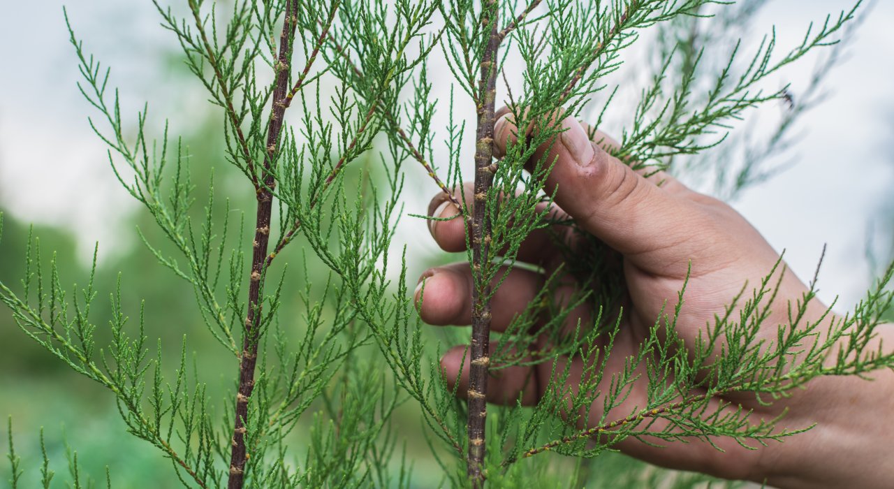 Land Life Company Raises €3.5 million in Series A Funding,