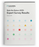 Rate the ESG Raters 2019 report