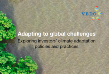 VBDO study: Exploring investors’ climate adaptation policies and practices – Adapting to global challenges