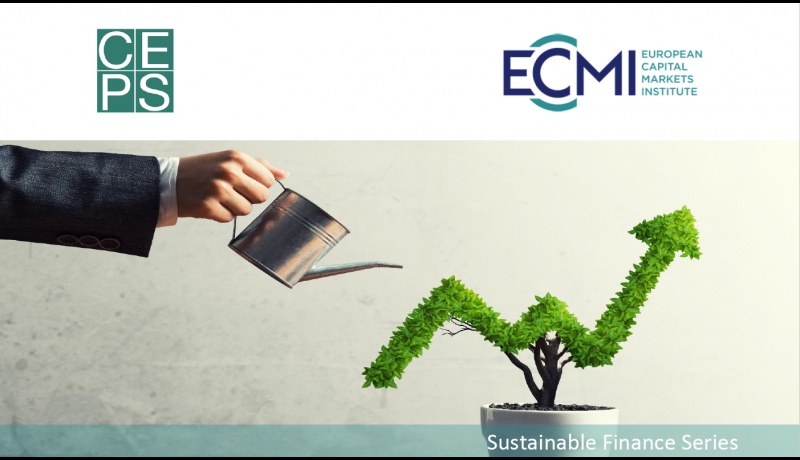 SUSTAINABLE FINANCIAL MARKETS: What can be expected beyond financial sustainability?