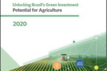 Groene Obligaties voor duurzame landbouw in Brazilië