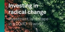 Triodos Investment Management brengt visiepaper uit over het investeringslandschap in een (post-)COVID-19-wereld