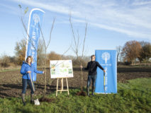 Zwitserleven plant 2.000 bomen in Noord-Brabant