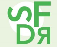 De implementatie van de SFDR in de praktijk: zes valkuilen