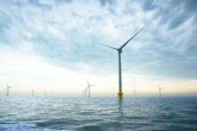 Zorg dat álle toekomstige windparken op zee natuurversterkend en -beschermend worden gebouwd