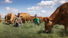 Duurzame boerderij Hoeve Kazan pioniert met natuur inclusieve landbouw en crowdfundt bijna twee ton voor nieuwe stal