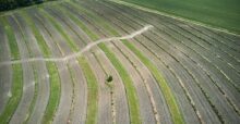 a.s.r. gaat boeren belonen voor duurzame bedrijfsvoering