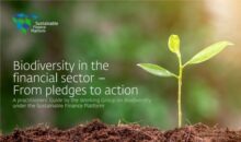 Financiële instellingen delen stappenplan ter bescherming van biodiversiteit