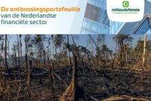Milieudefensie: "Nederlandse financiële sector Europees koploper investeren in ontbossing"