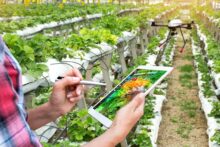 StartLife gaat opnieuw miljoenen investeren in duurzame agrifoodtech startups