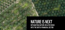 Nature is Next: Nederlandse financiële instellingen zetten eerste stappen voor de natuur