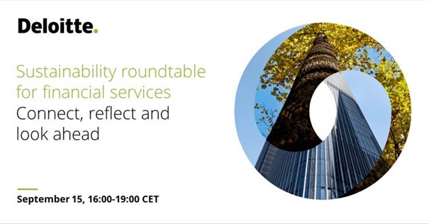 Virtual Sustainability Roundtable for financial services