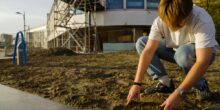 Provincie Zuid-Holland opent subsidieregeling doorbraakprojecten: natuurlijke reststromen